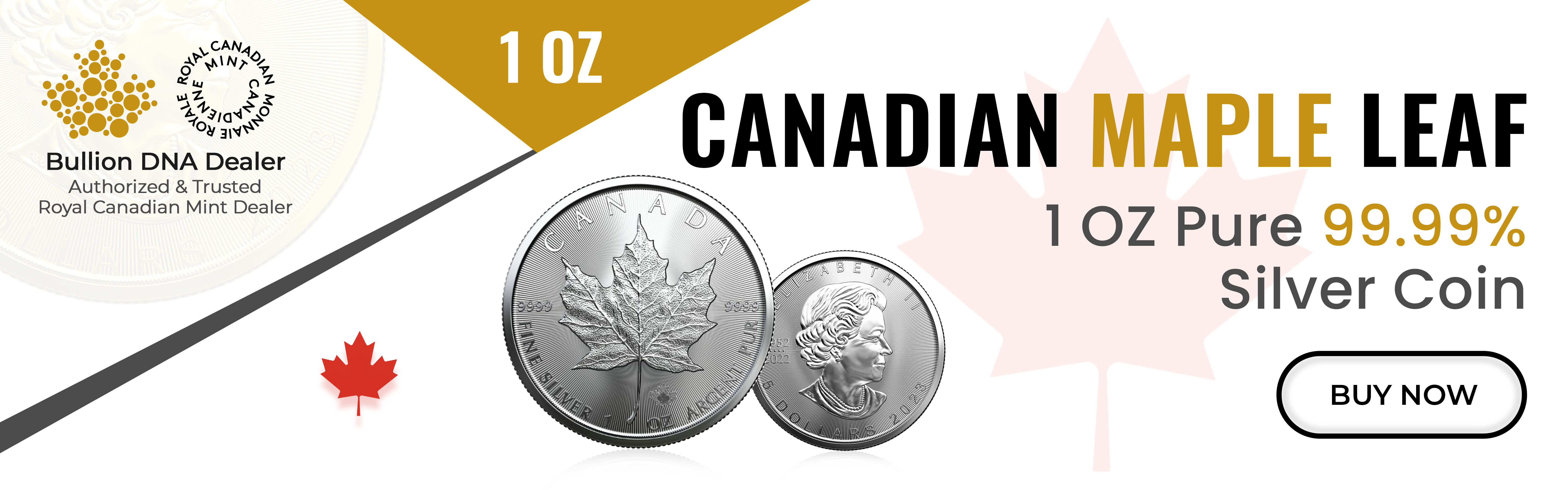 Canadian Maple Leaf ( Silver )_